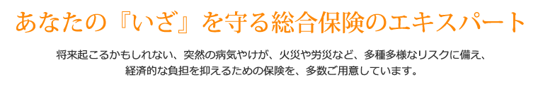 あなたの『いざ』を守る総合保険のエキスパート